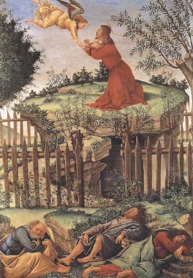 Sandro Botticelli Prayer in the Garden France oil painting art